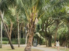 -三亚海棠湾万丽度假酒店