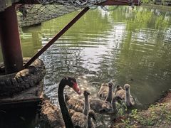 -长兴太湖图影湿地文化园