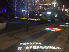 -映月湖中央公园