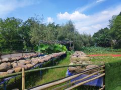 -铁山坪森林公园