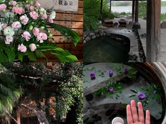 -昆明柏联SPA温泉