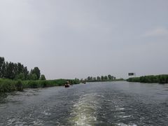 -白洋淀景区