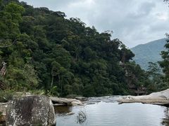 -海南热带雨林国家公园吊罗山景区