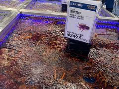 -盒马X会员店(上海森兰商都店)