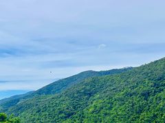 -海南霸王岭国家森林公园