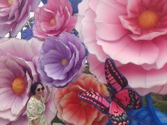 -第35届青岛国际啤酒节