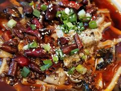 -宏宴·新京菜(望京店)