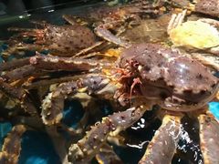 -阳光码头海鲜火锅(世纪大道店)