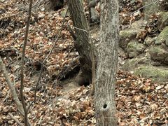 -玉渡山自然风景区