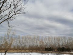 -东郊湿地公园