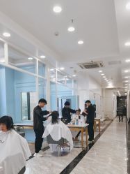 -YESIDO椰岛造型