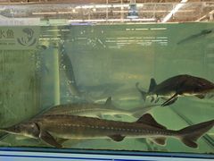 -大润发(姑嫂树店)