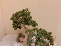 -旨味Umami_融合料理(万博汇店)