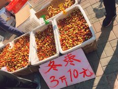 -真素诚(玉泉路总店)