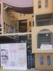 -超级奈尔宝SUPER NEOBIO(杭州星光店)