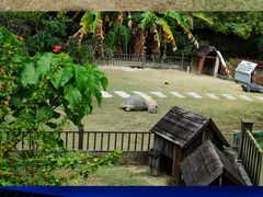 -广东惠东海龟国家级自然保护区