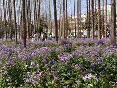 -上海交通大学(闵行校区)