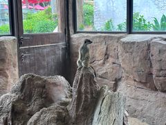 -香港海洋公园