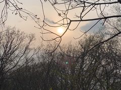 -紫金山山顶公园