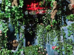 -郑州方特梦幻王国