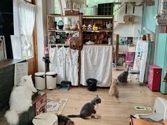 -小时光咖啡馆(开森度假森林店)
