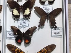 -烟台市博物馆