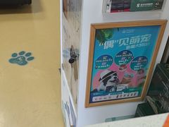 -瑞派天宁宠物医院·猫科·异宠中心