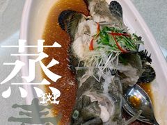 广式蒸青斑-名人名家     浙菜.家宴