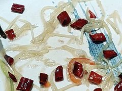 -永红源啤酒·烧烤·海鲜·大排档(青特城店)