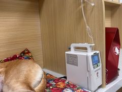 -美联众合爱康动物医院•复杂内科•肿瘤科•牙科•腔镜诊疗中心