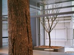 -来回·咖啡(天河南店)