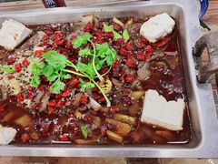 重庆豆花烤鱼-鱼乐乐(Happy Fish)