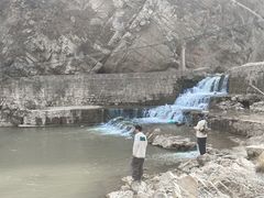 -Walker萌宠露营(大明骑士驿站店)