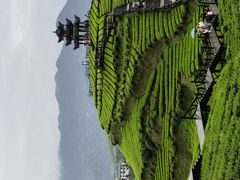 -狮子关旅游区