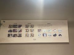 -新盈光·云会所(百丈东路店)