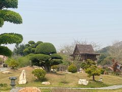 -丹樱生态园