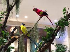 -Seesaw Coffee(朝阳大悦城店)