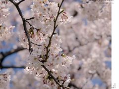 -龙美术馆(西岸馆)