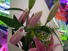 -双季花艺园艺市场(浦东店)