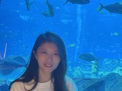 -亚特兰蒂斯•OSSIANO奥西亚诺海底餐厅