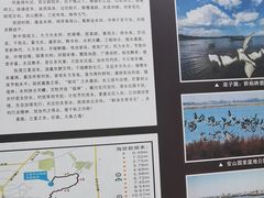 -青龙山国家森林公园