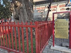 -北京国子监胡同