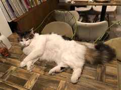 -小时光咖啡馆(北锣鼓巷店)