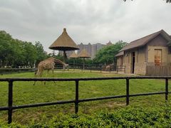 -南昌动物园