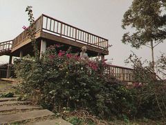 -空港花田景区