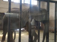 -石家庄市动物园