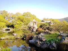 -西湖外事游船(花港观鱼码头)