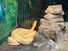 -上海大自然野生昆虫馆