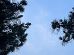 -东莞市大岭山森林公园
