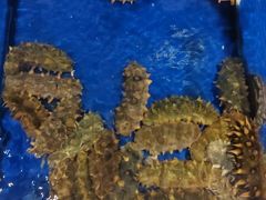 -今鲜源大酒店·中华餐饮名店(新湛路店)